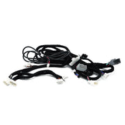 AF TSL 3YP Amp Kit